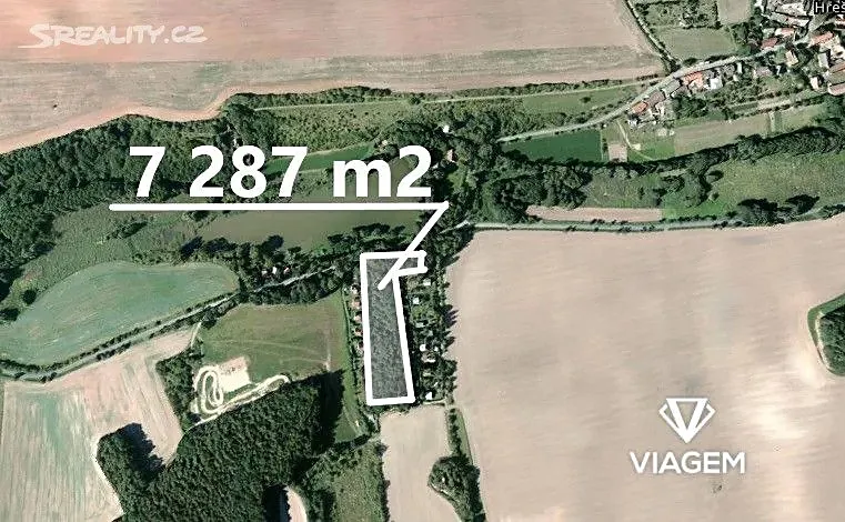 Prodej lesa 7241 m²